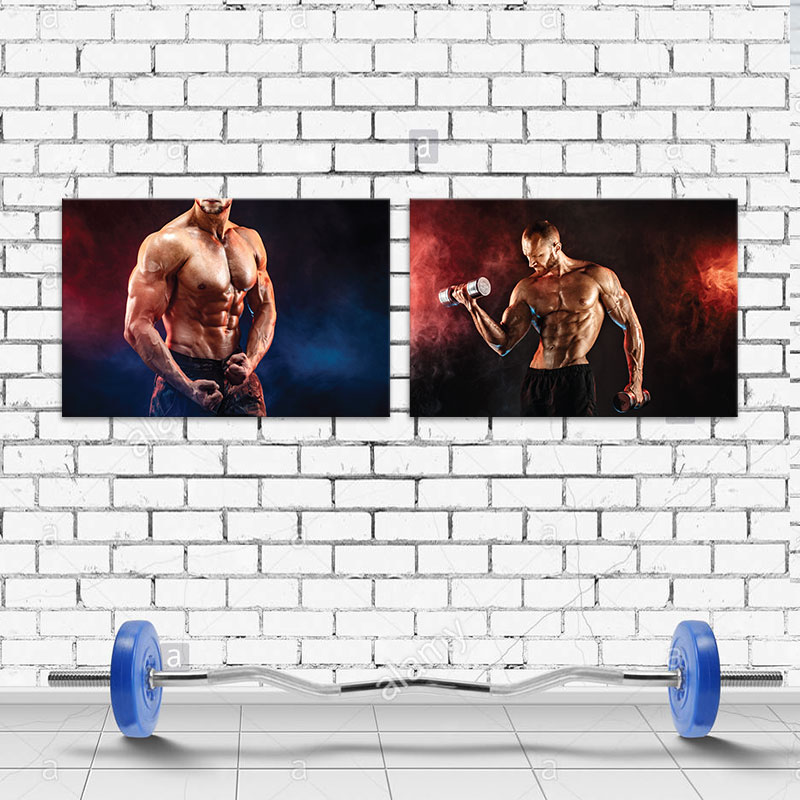 Bộ 2 tranh Gym “Tập tạ tay” M4