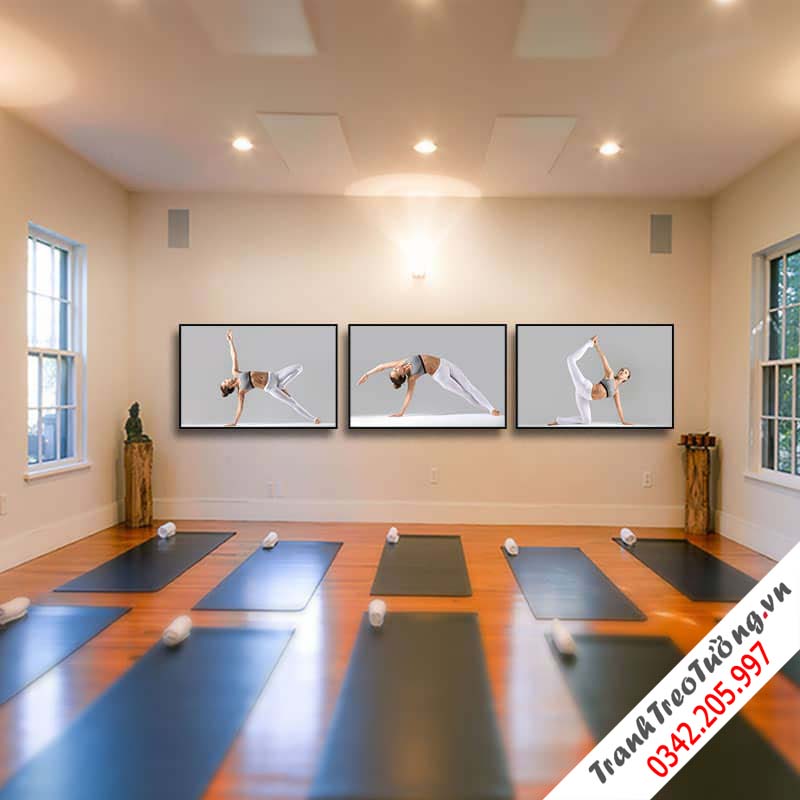 Bộ 3 tranh treo tường phòng Yoga đẹp và độc đáo W563 M3