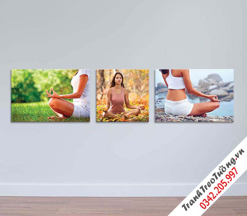 Bộ 3 Tranh yoga và thiền M2