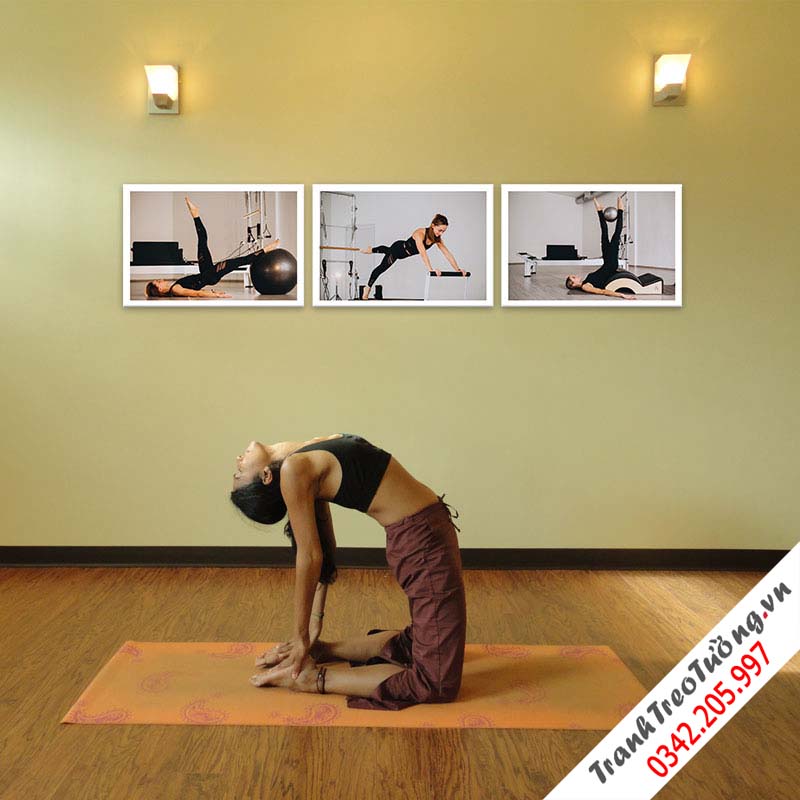 Bộ 3 tranh Yoga và các dụng cụ tập tông màu đen trắng khỏe khoắn  M2