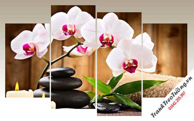 Tranh Spa Hoa Lan M04