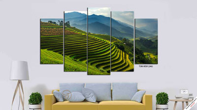 Tranh Ruộng Bậc Thang Sapa M12
