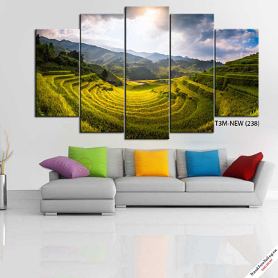 Tranh Ruộng Bậc Thang Sapa M14