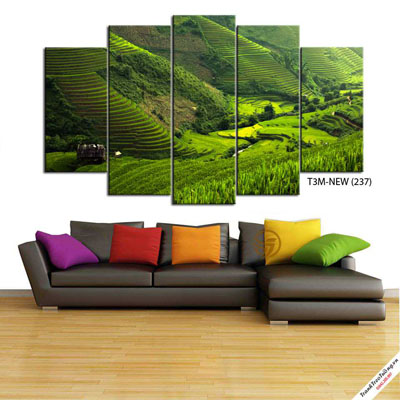Tranh Ruộng Bậc Thang Sapa M15