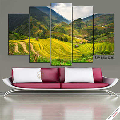 Tranh Ruộng Bậc Thang Sapa M16