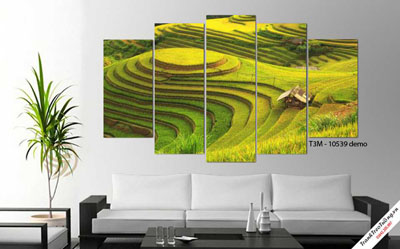 Tranh Ruộng Bậc Thang Sapa M19