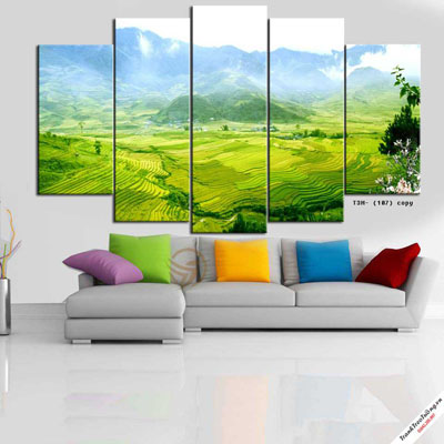 Tranh Ruộng Bậc Thang Sapa M6
