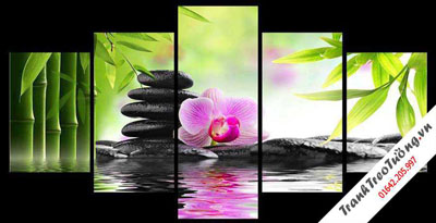 Tranh Spa Hoa Lan M03
