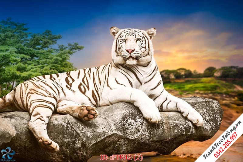 Tranh Hổ Rồng Đại Bàng hiện đại M46