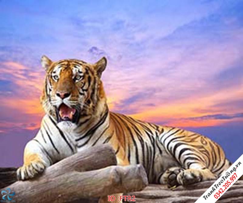 Tranh Đại Bàng Rồng Hổ phong thủy M6