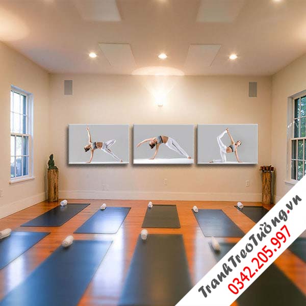 Bộ 3 tranh treo tường phòng Yoga đẹp và độc đáo W563 M3