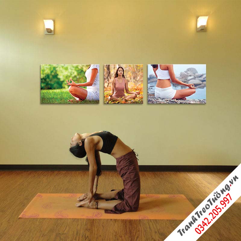 Bộ 3 Tranh yoga và thiền M2