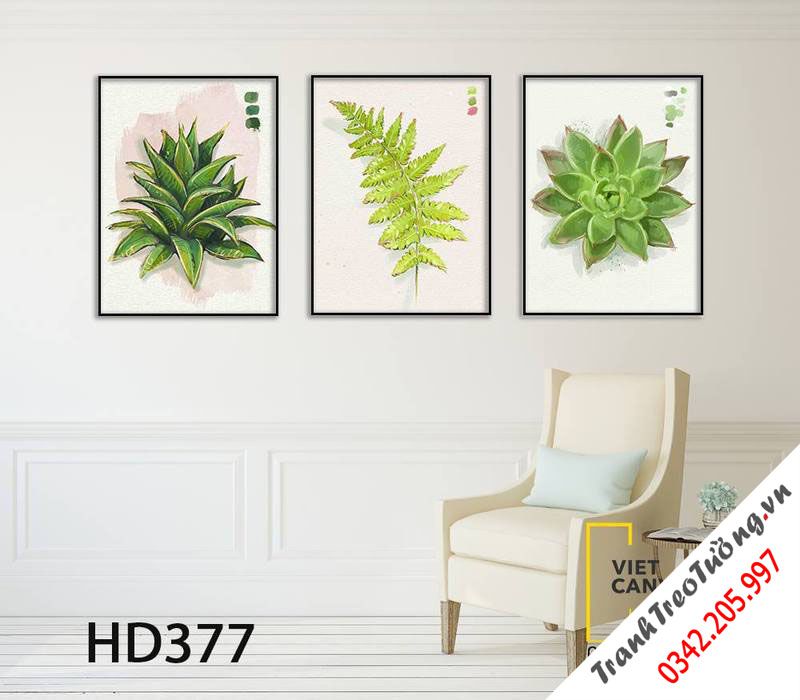 Bộ 3 Tranh Sen Đá Và Nhánh Lá