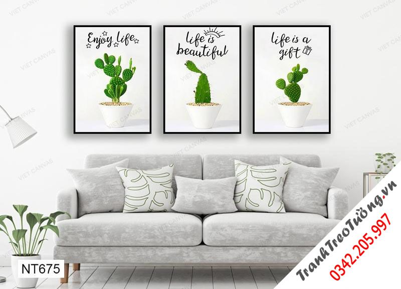 Bộ 3 Tranh Lọ Xương Rồng Xanh